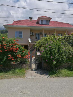 Гостиница Guest House Villa Roza  Гагра